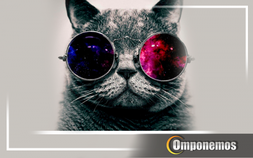 Los-Gatitos-Dj--MEOW-MIX.png