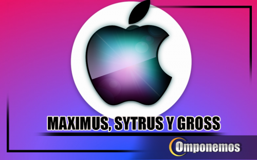 MAXIMUS-SYTRUS-Y-GROSS-2.png