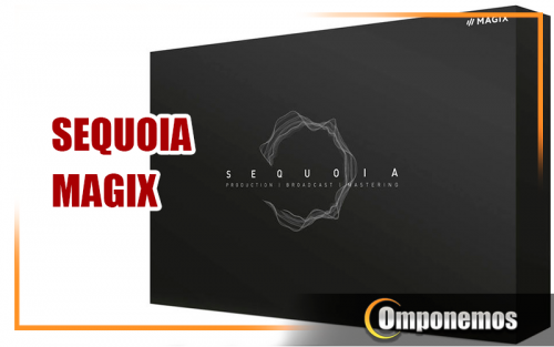 SEQUOIA.png