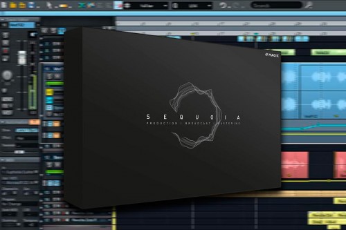 Sequoia-15.jpg