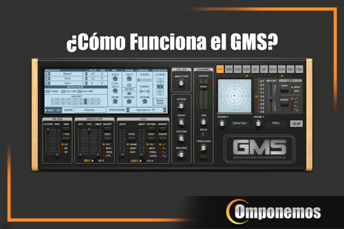 Como-funciona-el-GMS.png