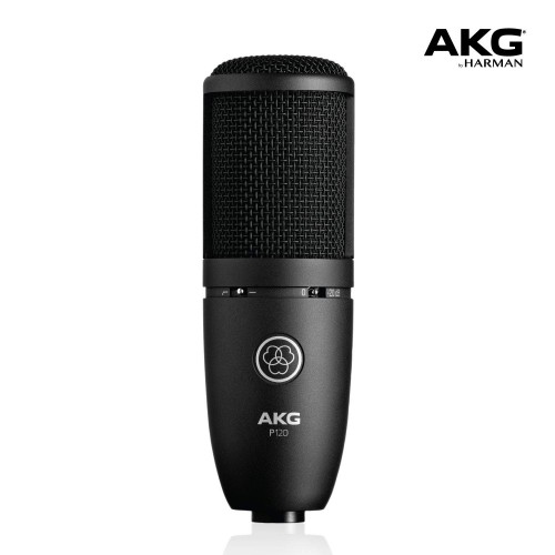 AKG-P120.jpg