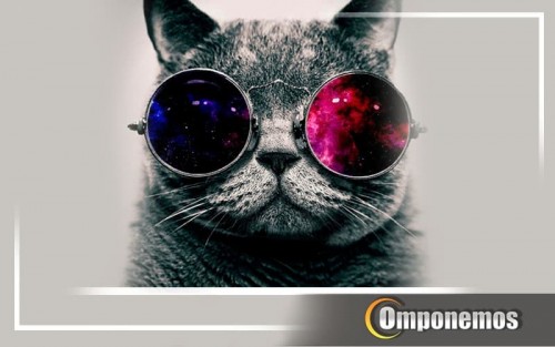 Los-Gatitos-Dj--MEOW-MIX.jpg