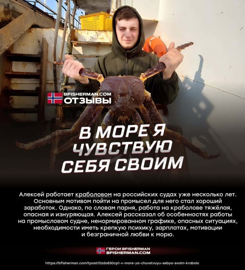 bfishg_125242.jpg