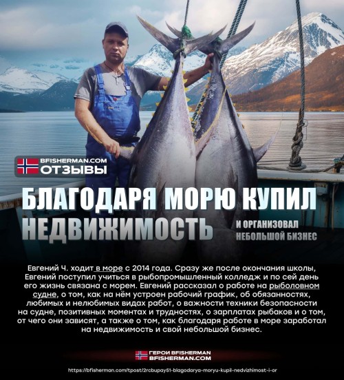 bfishg_458149.jpg