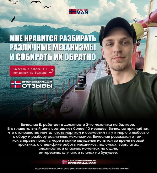bfishg_461095.jpg