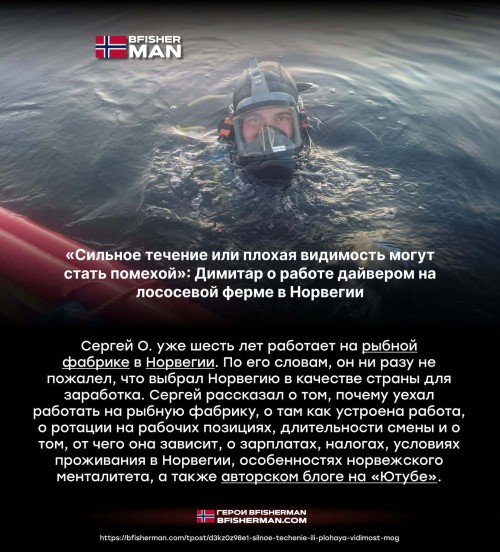 bfishg_586568.jpg