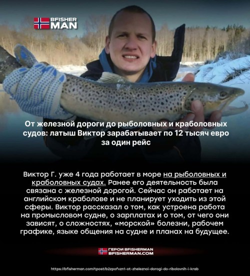 bfishg_756604.jpg