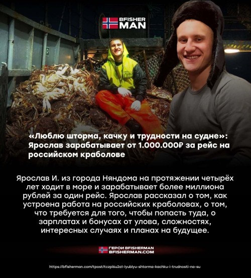 bfishg_811189.jpg